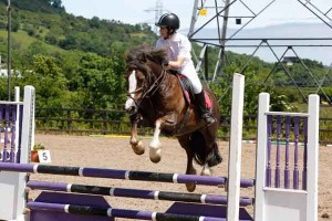 Alana McGill and Melton jumping a lovely clear round in the 80cms class: Photo AP photography