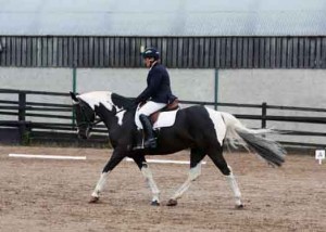 Lisa Dundee and Guinness on their way to top spot in class 2 Photo: AP Photography