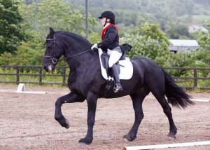 Sharon waters riding her stallion X Rated had a good day at Knockagh View's Summer league Photo: AP Photography