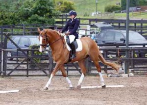 Martina McKinley riding Oliver Hardy in Novice 24 at the second week of Knockagh View's dressage league Photo: AP Photography