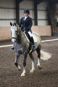 Kirsty Marsden and Loughmourne Diamond sparkle in the Dressage to Music