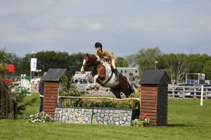 Novice Working Hunter Champion Beth Murray and Kit n Kaboodle