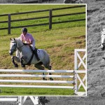 Exciting Summer Derby show set for Ravensdale Lodge