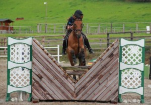  Ciara Lane & Fizz ping the joker fence in their first 1m class at Ravensdale Lodges arena eventing league on Saturday. Photo: Niall Connolly. 