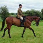 Paul Hutchinson with Librarian Down Royal League final at the Racecourse