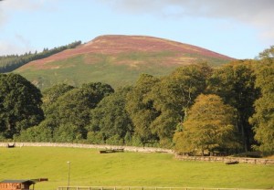   "Autumn Glory": Ravensdale Lodge, watched over by "The Ben Rock" basked in sunshine and autumnal colours during Friday evenings Mackins Horse Feeds outdoor horse & pony training league.