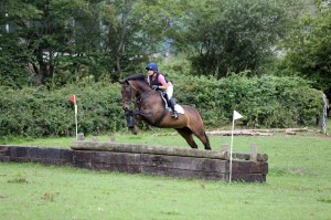 Competing in Class 3 – Laura McSparron on Creative Lady Photo: Caroline Grimshaw for Equestrian News NI