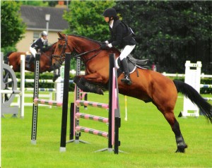 Novice show jumper, Charis Vinaccia on Derry Mac who will be travelling to the Novice Championships after finishing 5th place a