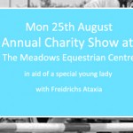 Third Annual Charity Show Jumping Show for Beth