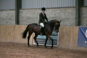 Daryll McKinney and Ballylin Ben won the ridden hunter class at the All Silver fun day at Knockagh View