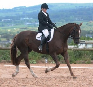 Novice win for Linda McIlwaine and Beechmount Baxter