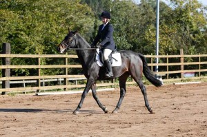 Riding in Class 1 – Liz Orr on William Photo AP Photography