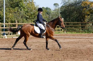 Riding in Class 2 – Shelley McFarlane on William Photo AP Photography