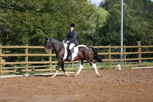 Competing in Class 2– Susie Kinley on Tip Top Photo: Caroline Grimshaw Photography