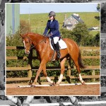 Mill Yard Dressage League Goes from Strength to Strength