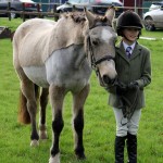 Thea Walsh and Hunter, taking part in the Young Handler class