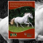 HSI Announce Changes to Irish Draught Horse Breeding Policy