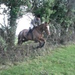 Jan Barr on Broody clears the first fence of the day