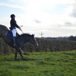 New Route hunt member Lexy Halliday on Ruby clears the hedge
