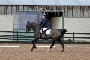 Novice 24 - Michelle Strange - Patience Photo: Caroline Grimshaw