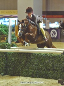 Jodie Creighton and Stambrook Miss Bellini winning the Underwood Working Hunter Pony of the Year at the Horse of the Year Show