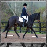 Winter Dressage League at Knockagh View