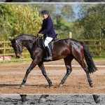 Top Class Competition at Mill Yard’s Dressage League