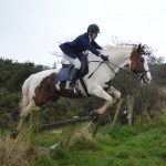 Anthea Moffett on Chip clearing the fence