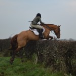 Debbie Butler on Frenchie clearing the hedge