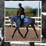 Hot Competition at Ardnacashel Dressage League