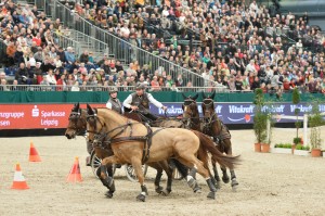The Netherlands’ Koos de Ronde and his four-in-hand on their way to victory in the last FEI World Cup™ Driving qualifier of the 2014/15 season (Karl Heinz Frieler/FEI).