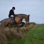 Mike Alcorn on Lou clearing the first fence of the day