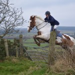Anthea Moffett on Chip clearing the 6 bar gate