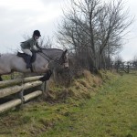 Aoife Carr on Oliver clearing  the arena fence