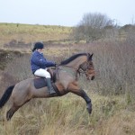 Emma Louise Murray on Paddy in flight over the ditch