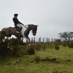 Nicole O'Loughlin on Ted clearing the hedge
