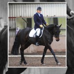 Laurel View Dressage Competitors Not Deterred By Dismal Weather