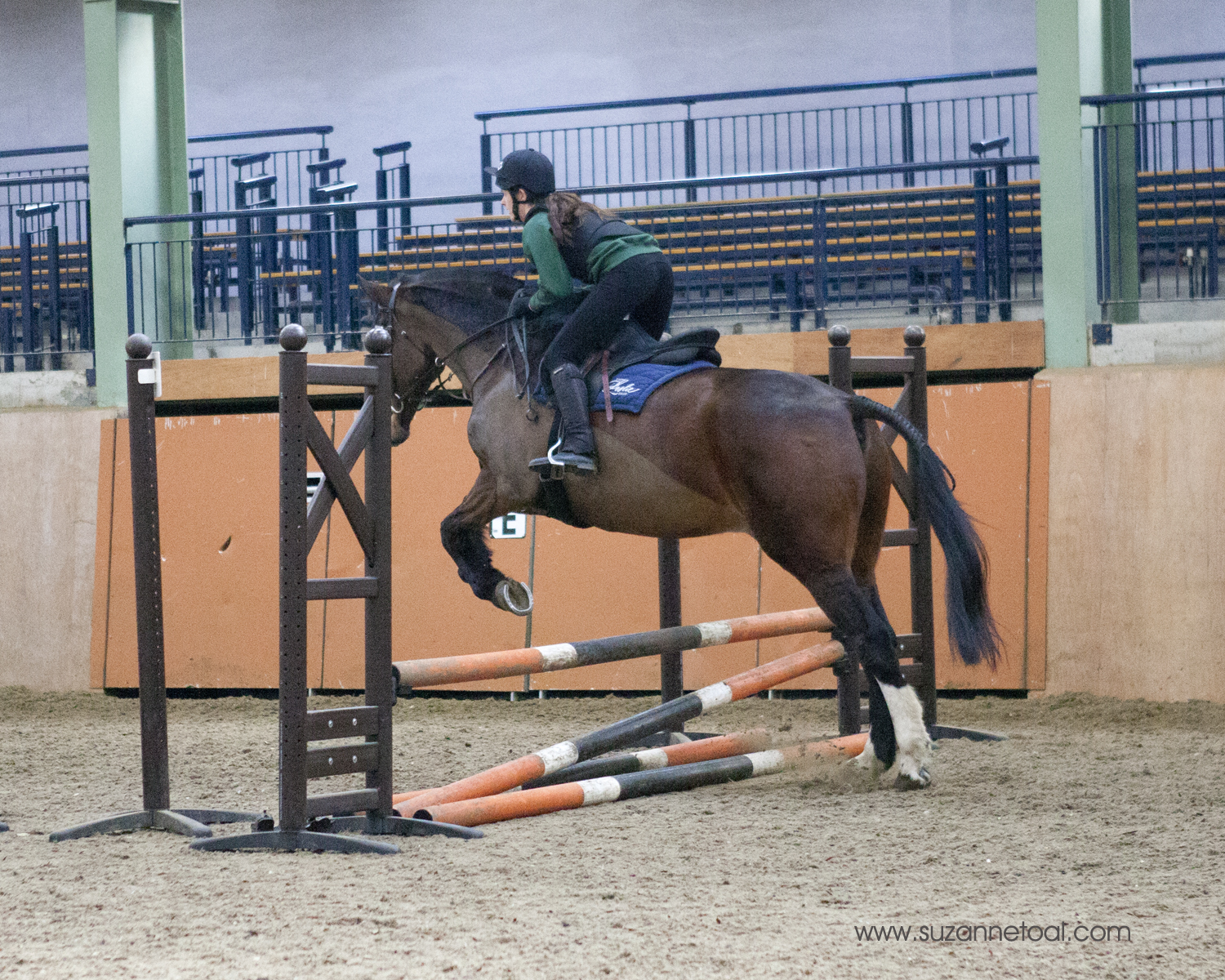 Castle Leslie Equestrian Centre Launches New Training Course