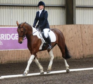 Penny Murphy and Tick - It take first place in the Novice class - Photo by Equi-Tog