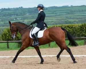 Kilminchy Condor and Lucca Stubington step into first in the Open - Photo by Equi-Tog