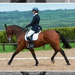 Childreach Charity Show Class at Laurel View