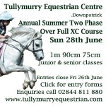 tullymurry-annual-2phase-june15