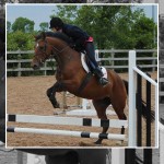 Super Jumping at Ardnacashel Equestrian