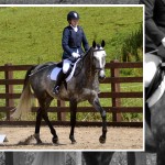 Hot Competition at Hagencroft Equestrian in Bailiesmills