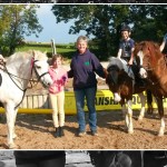 Indian Summer at Gransha Equestrian Centre